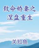 致命娇妻之涅盘重生免费阅读
