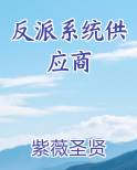 反派系统供应商