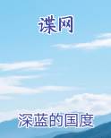 谍网