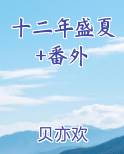 十二盛夏讲的什么