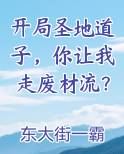 开局圣地道子,你让我走废材流?最新章节列表