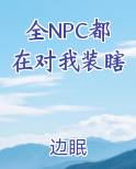 全NPC都在对我装瞎