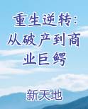重生逆转：从破产到商业巨鳄