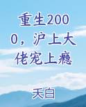 重生2000，沪上大佬宠上瘾