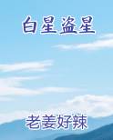 白星盗星全文阅读